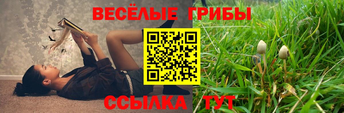 Галлюциногенные грибы Psilocybe  Вход с VPN  Псилоцибиновые грибы Psilocybine cubensis  Камышин 