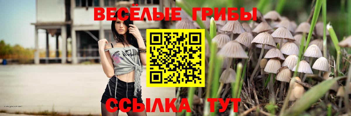 Галлюциногенные грибы прущие грибы Камышин